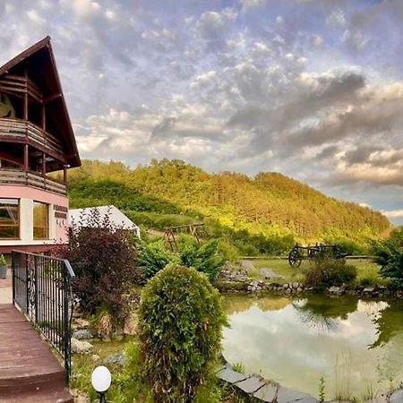 Pensiunea Armonia Nădăşelu Exteriör bild
