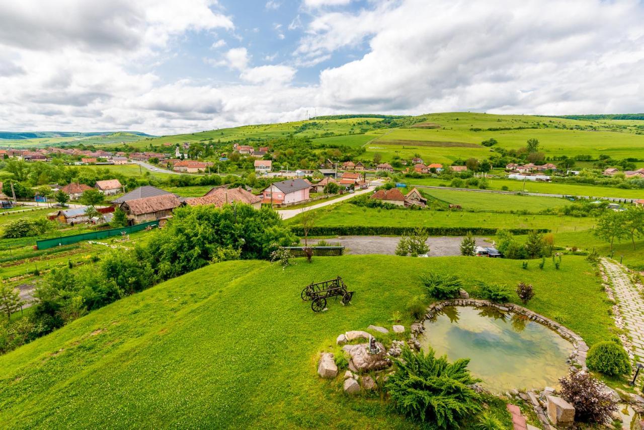 Pensiunea Armonia Nădăşelu Exteriör bild